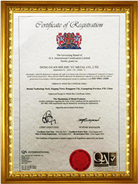 ISO 9001 / 2008 (English version)